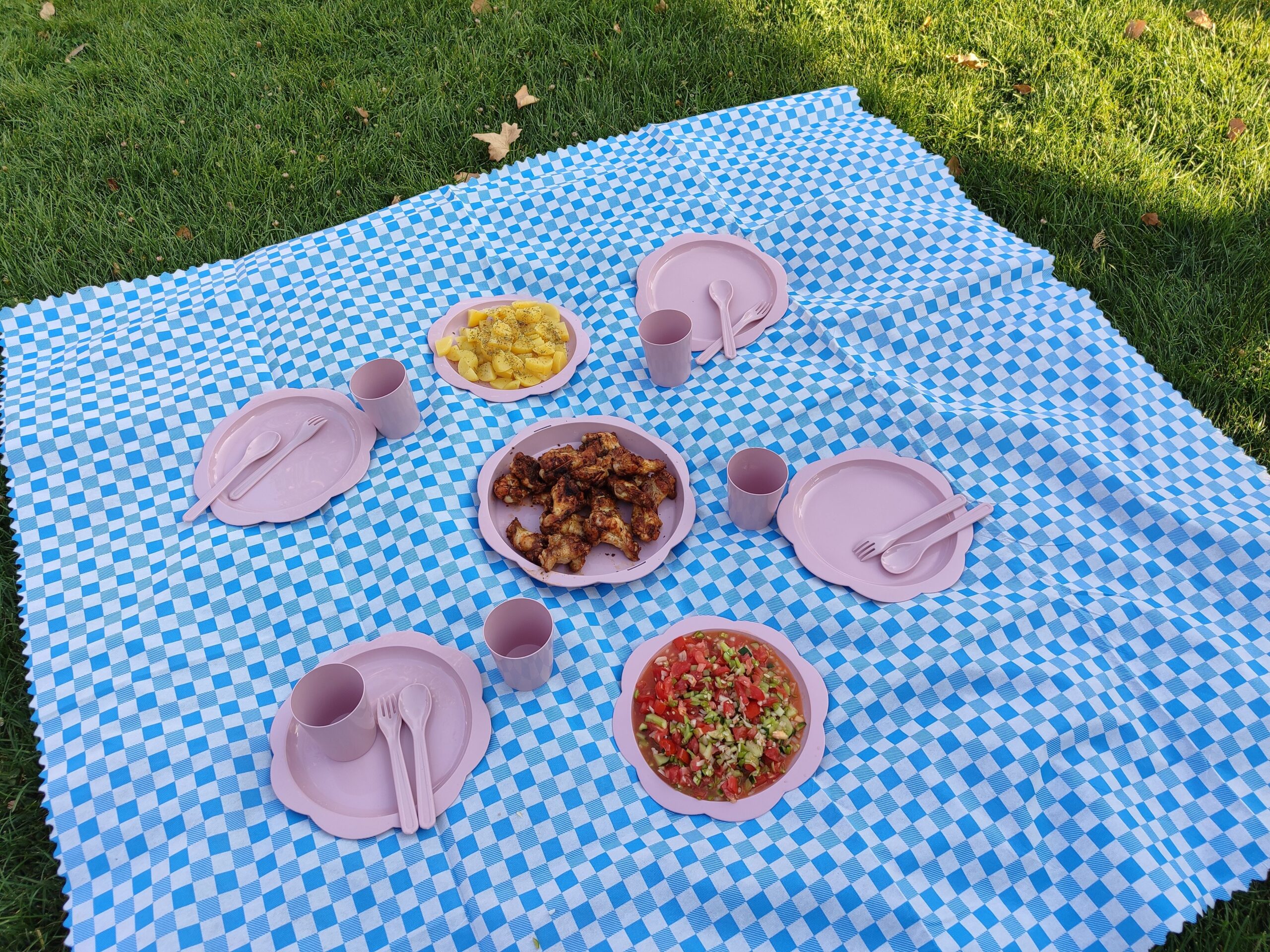 assiettes-compostables