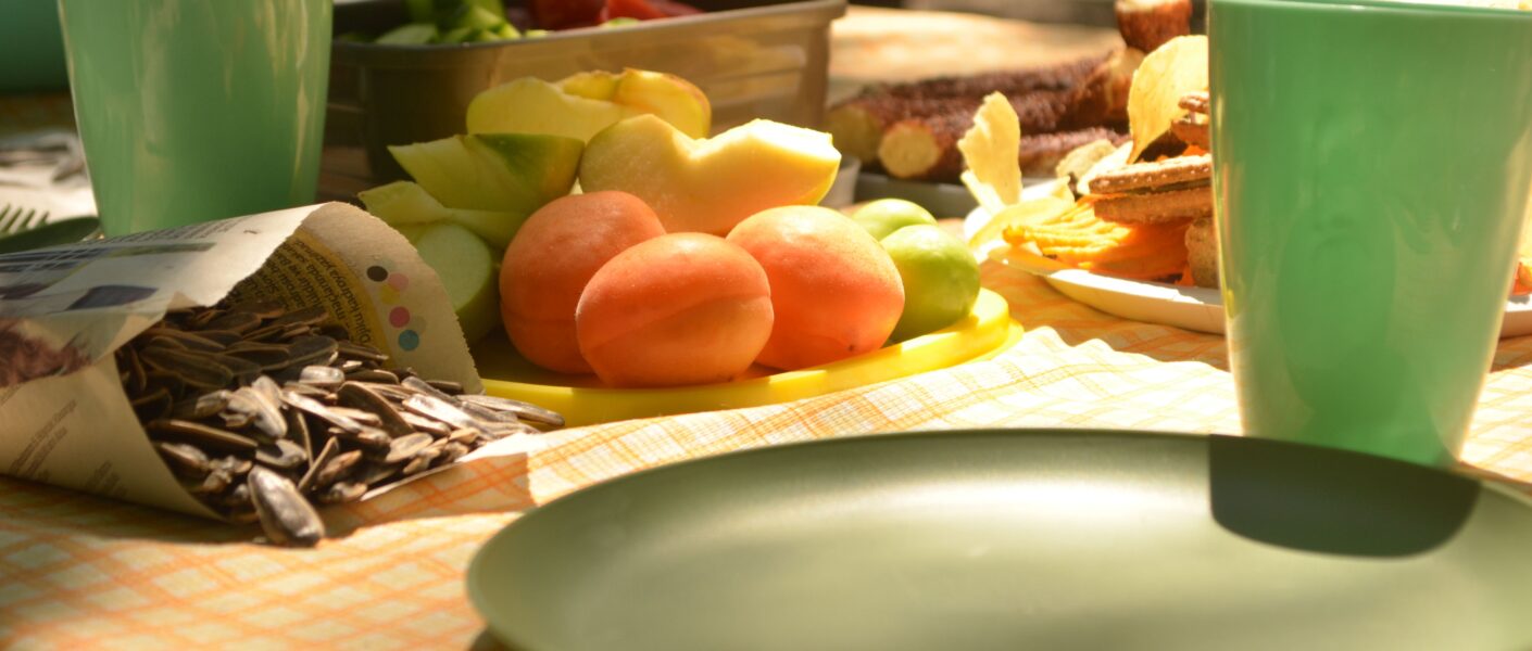 assiettes ecologiques