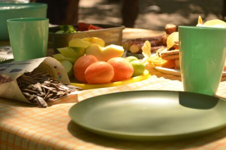 assiettes ecologiques